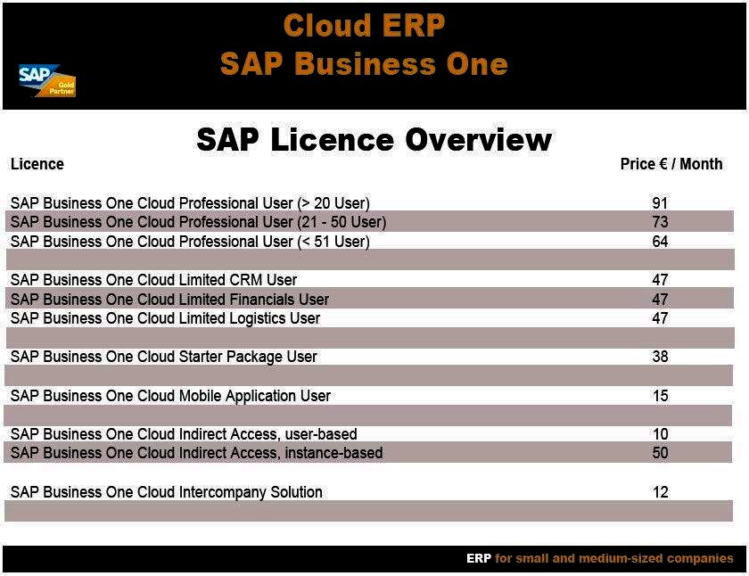 Cloud ERP licenses