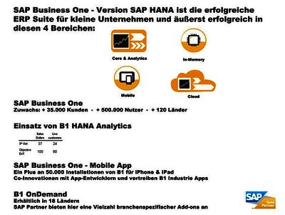 SAP Business One HANA