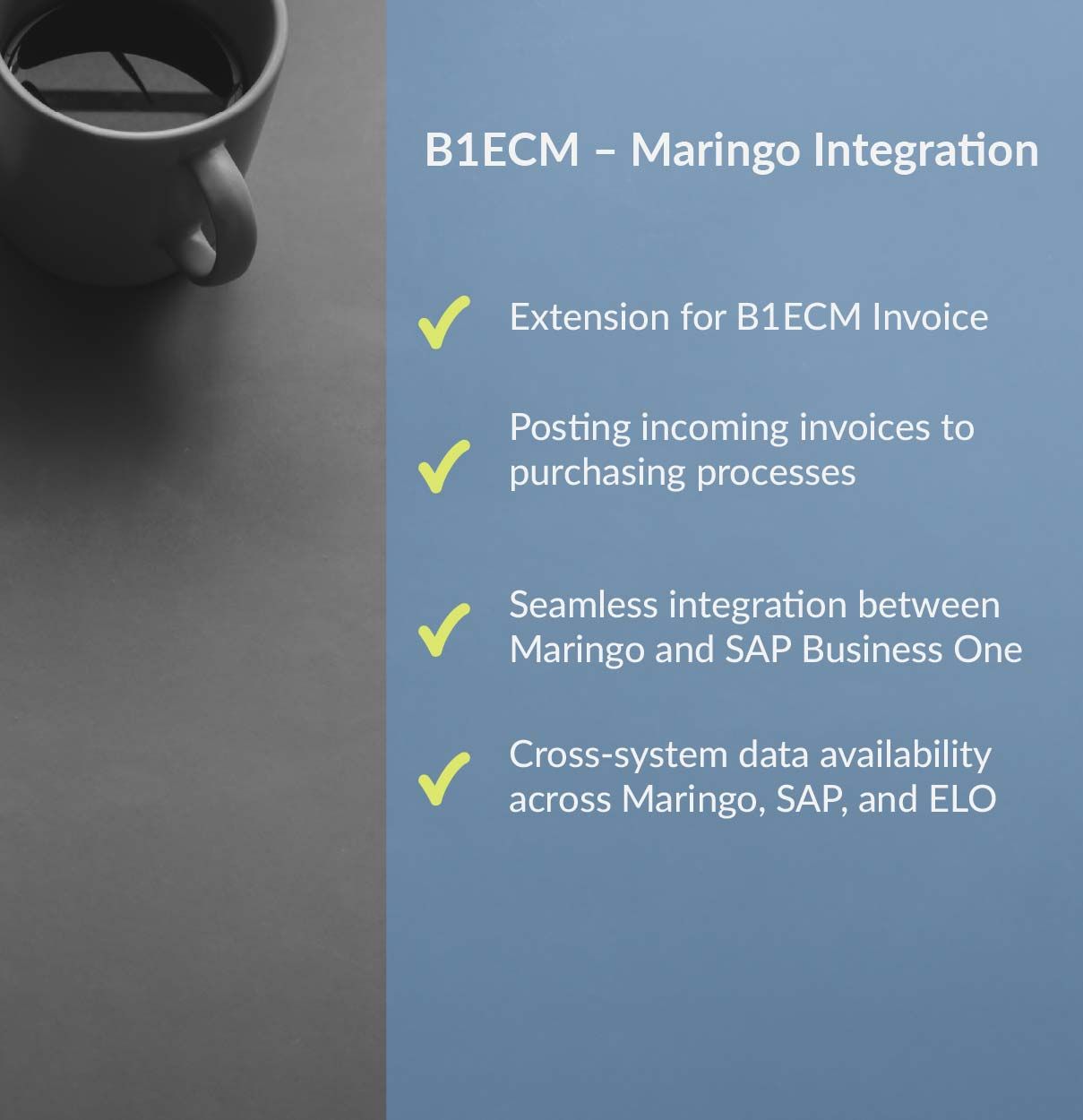 Maringo_integration