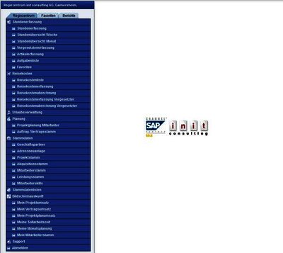 SAP Business One project management
