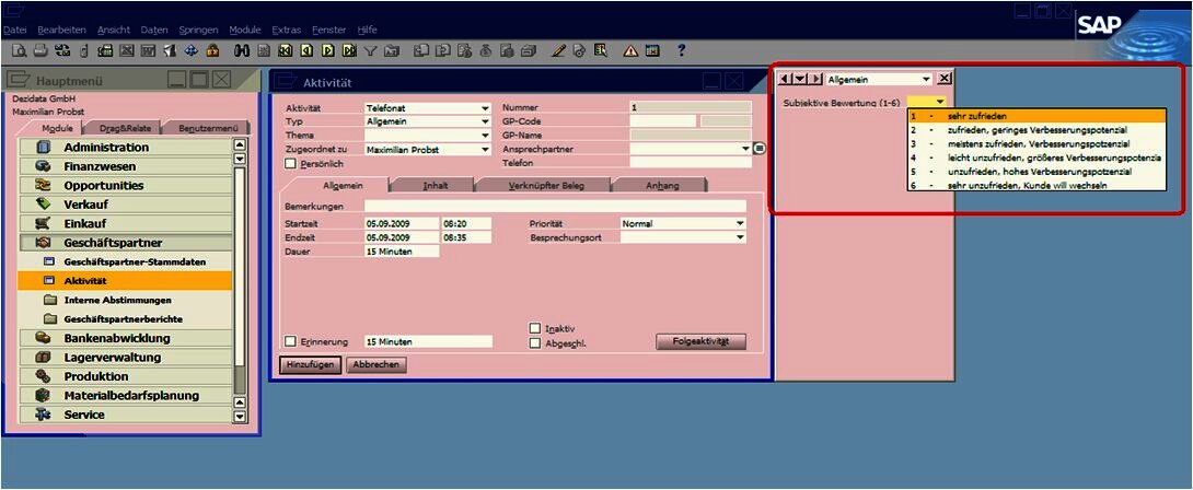 Evaluation of customer satisfaction in SAP Business One