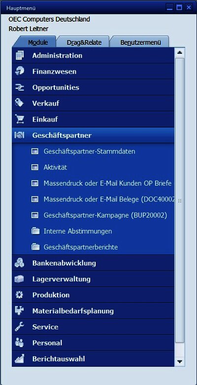 SAP Business One business partner