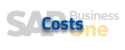 SAP Business One costs
