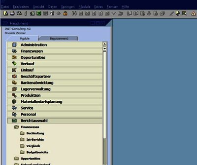 SAP Business One finance report