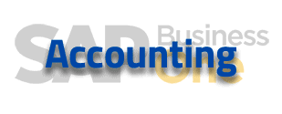 SAP B1 solution accounting