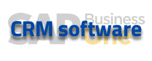 SAP B1 solution CRM software