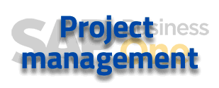 SAP B1 solution project management
