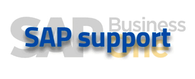 SAP Business One Support
