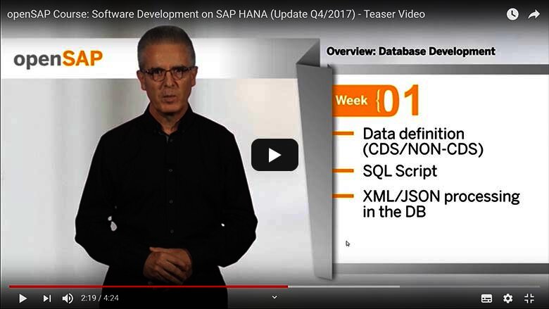 Software development on SAP HANA